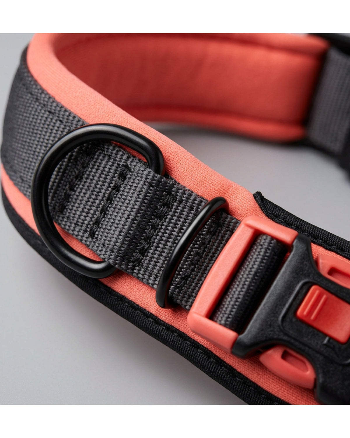 Zenl Padded Neoprene Dog Collar 2.5 cm Neck 40-55 cm Charcoal and Coral - Detail view