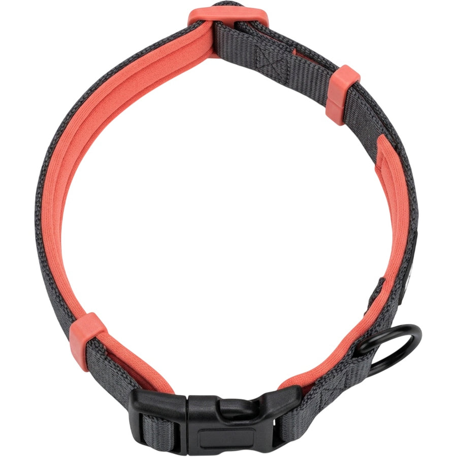 Zenl Padded Neoprene Dog Collar 2.5 cm Neck 40-55 cm Charcoal and Coral