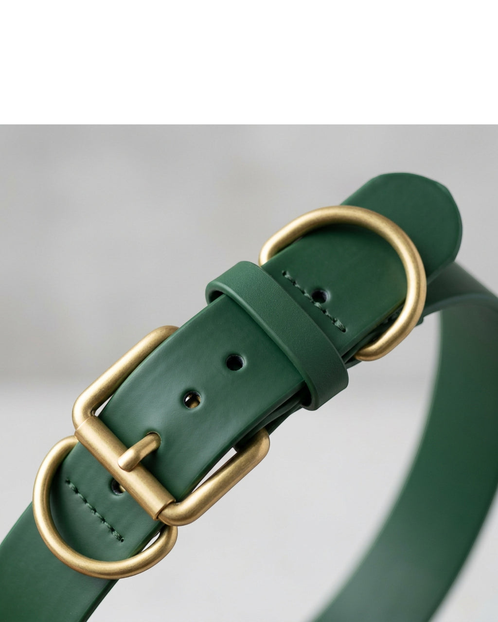 Zenl Waterproof Coated Webbing Pet Collar 2.5 cm Neck 35-50 cm Forest Green - Detail view